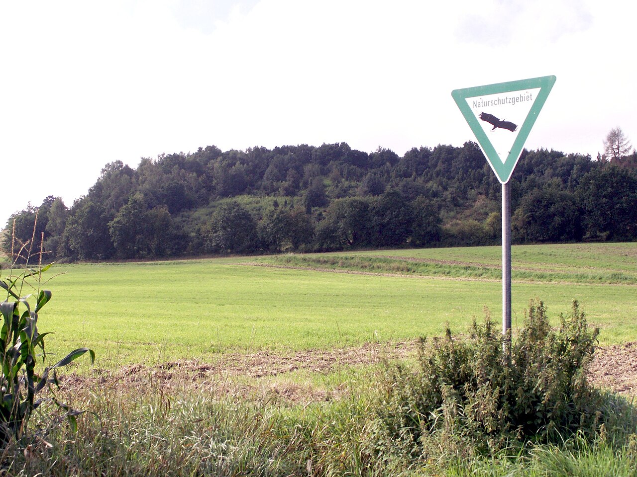 Naturschutzgebiet Kleiner Selberg (Nordseite) in Vlotho , Kreis Herford , Nordrhein-Westfalen