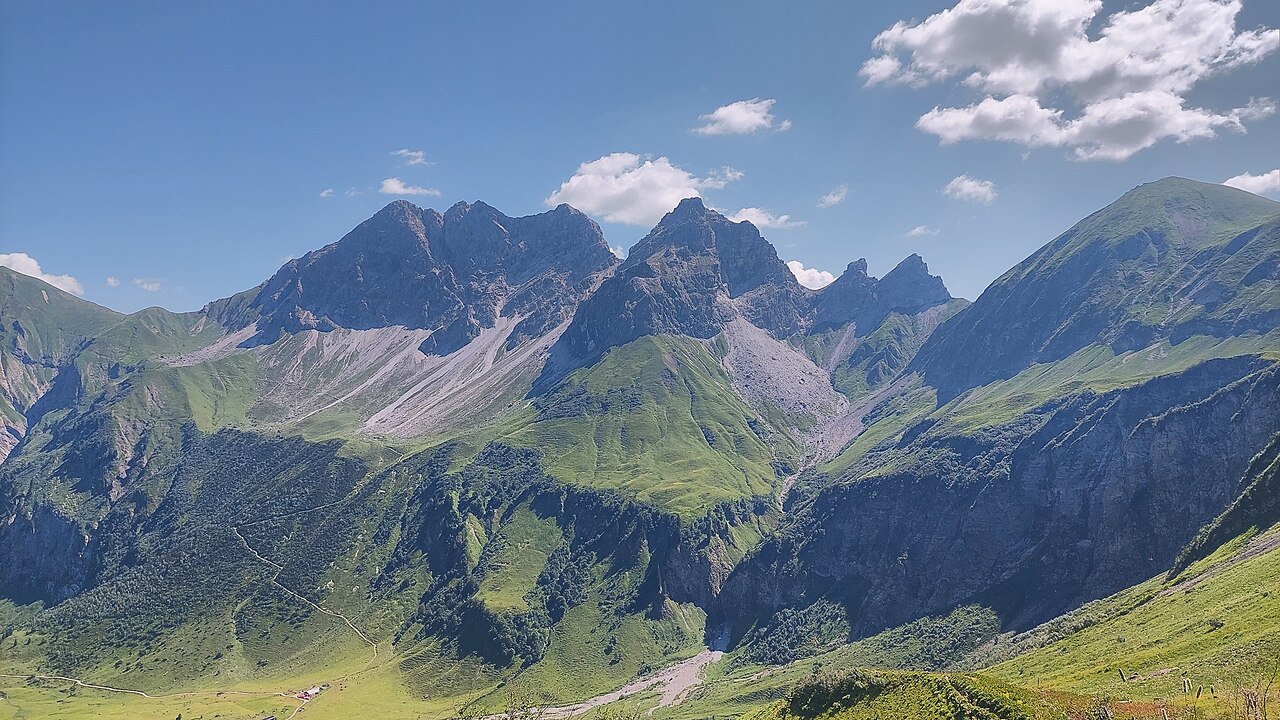Foto von Kleiner Wilder