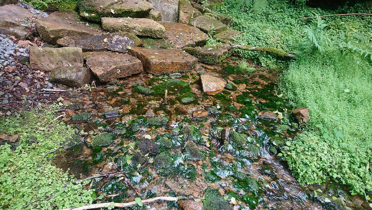 Die Kleinkahlquelle im Naturschutzgebiet Amphibienfreistätte Sommergrund bei Kleinkahl, Bayern