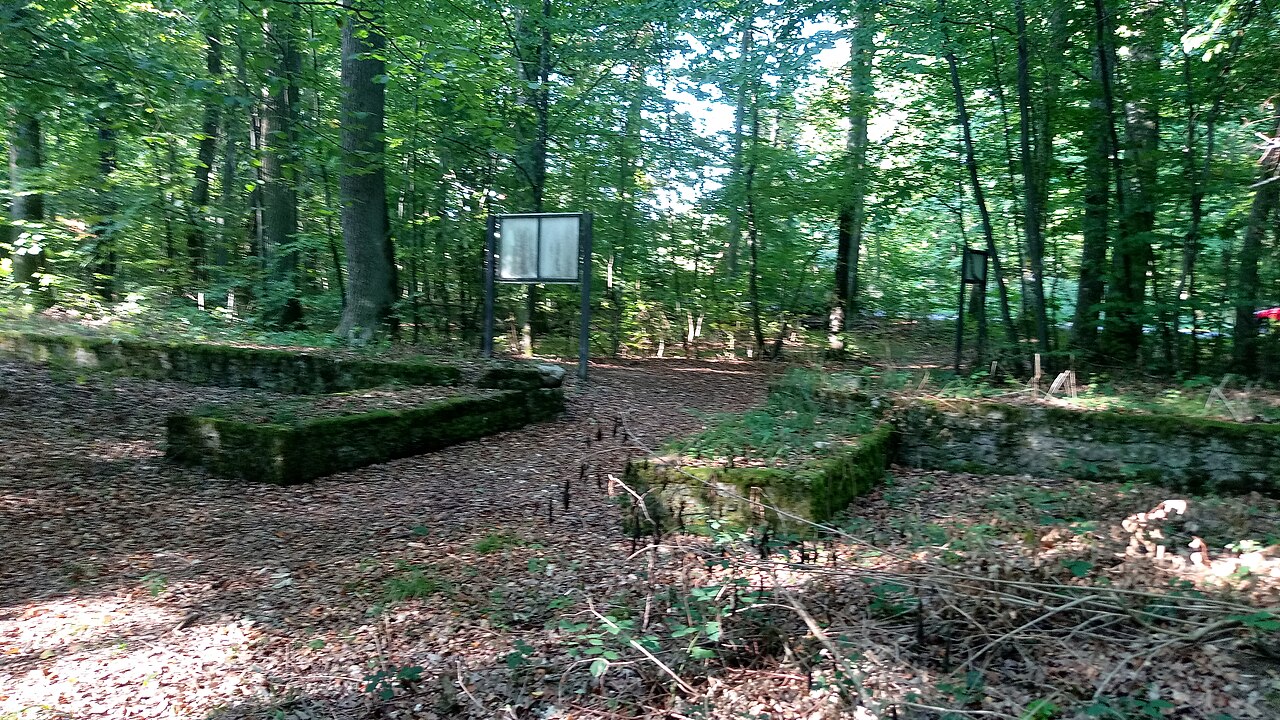 Kleinkastell Höhnehaus 1