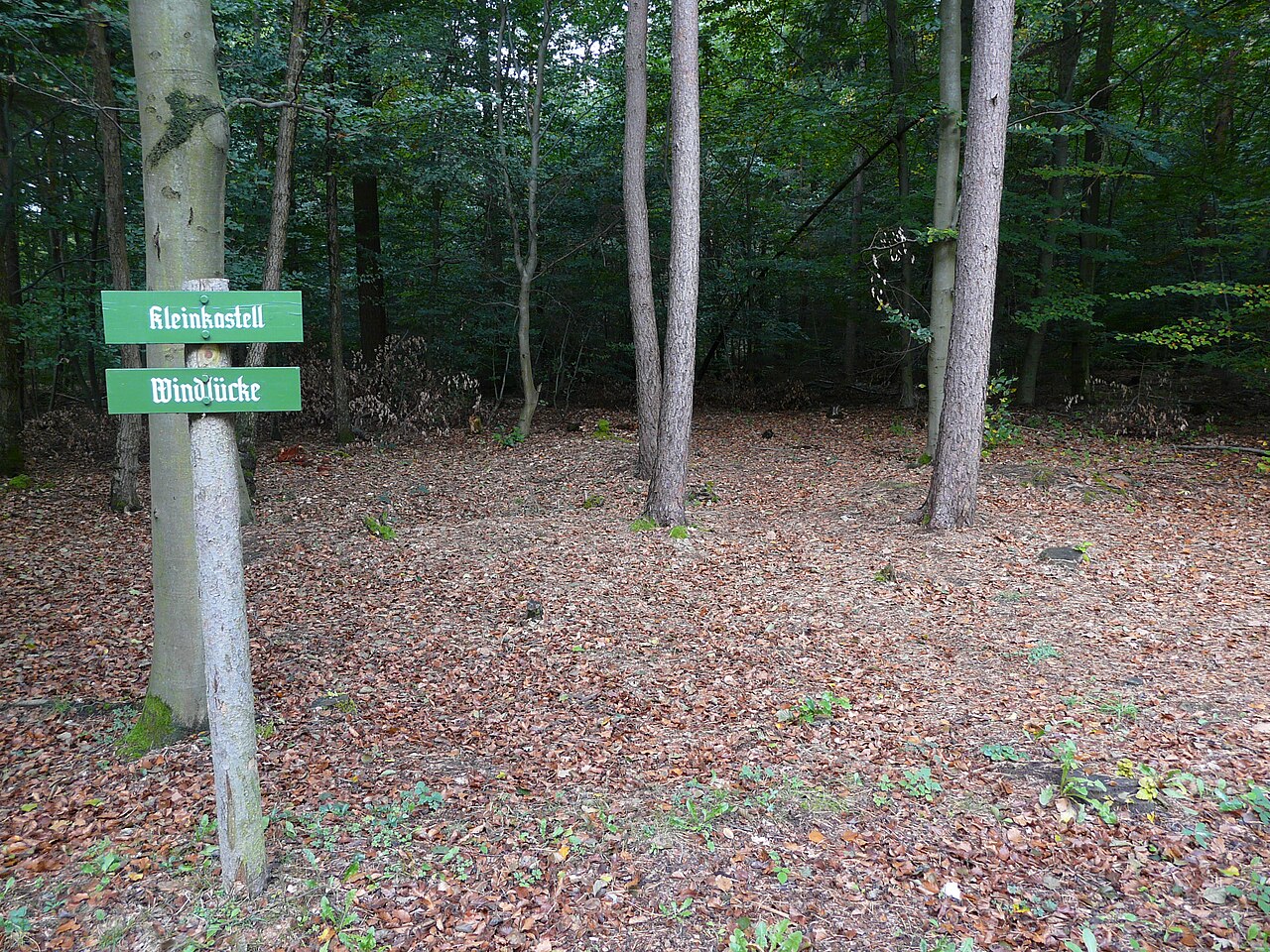 Kleinkastell Windlücke am Odenwaldlimes