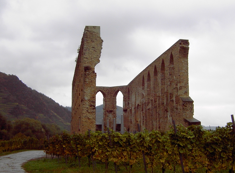 Klosterrunie Stuben in Neef an der Mosel
