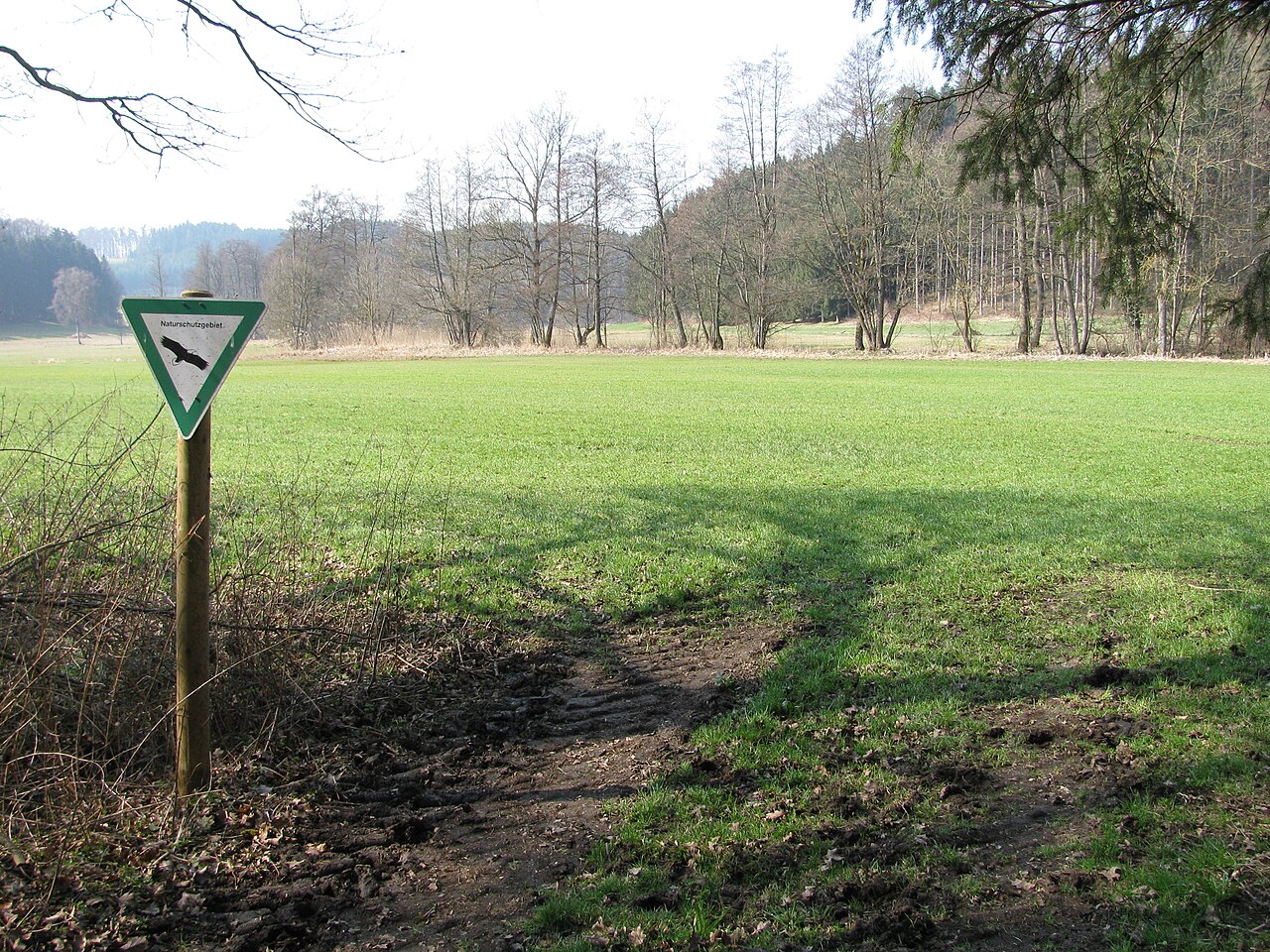 Germany - Baden-Württemberg - Bodenseekreis - Tettnang: nature reserve 'Knellesberger Moos'