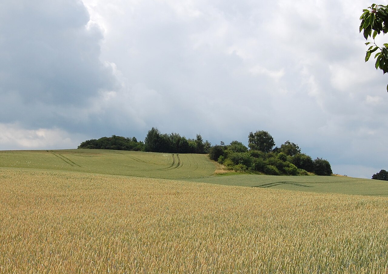 Blick auf den Kniel bei Schermcke