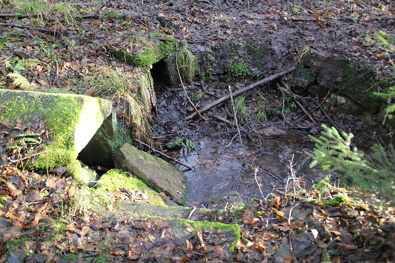 Naturdenkmal Kobertsquelle bei Rechtenbach