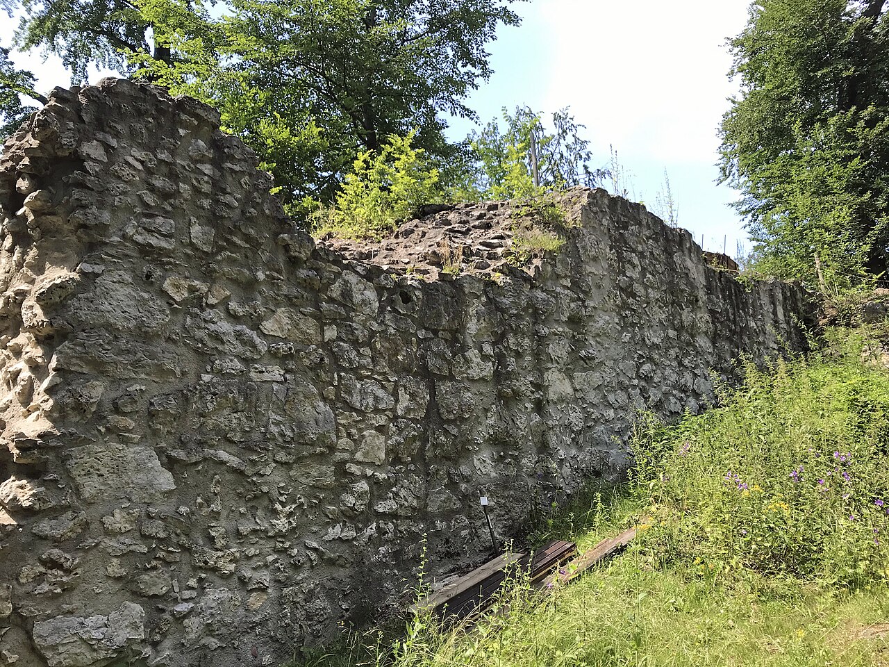 Kocherburg: Reste der Schildmauer im Südosten