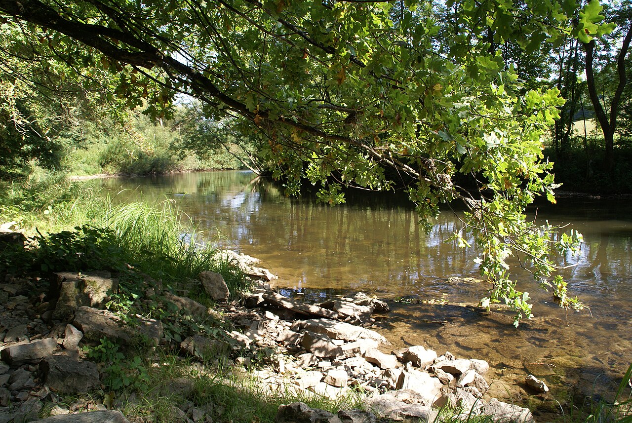 The picture shows the natural course of the Kocher at Rosengarten, upstream of Schwäbisch Hall