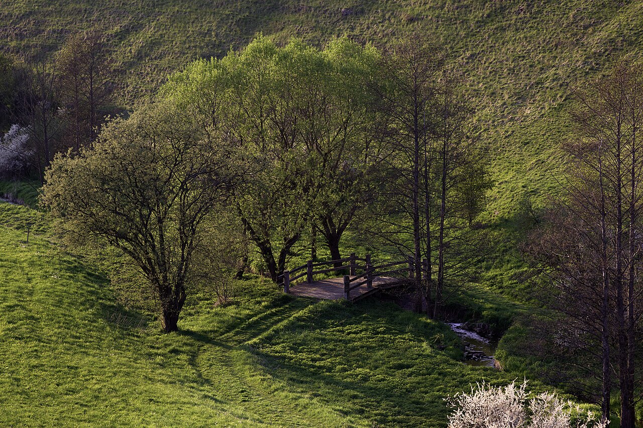 Kochhart(graben) im Naturschutzgebiet „Kochhartgraben und Ammertalhänge“ bei Reusten
