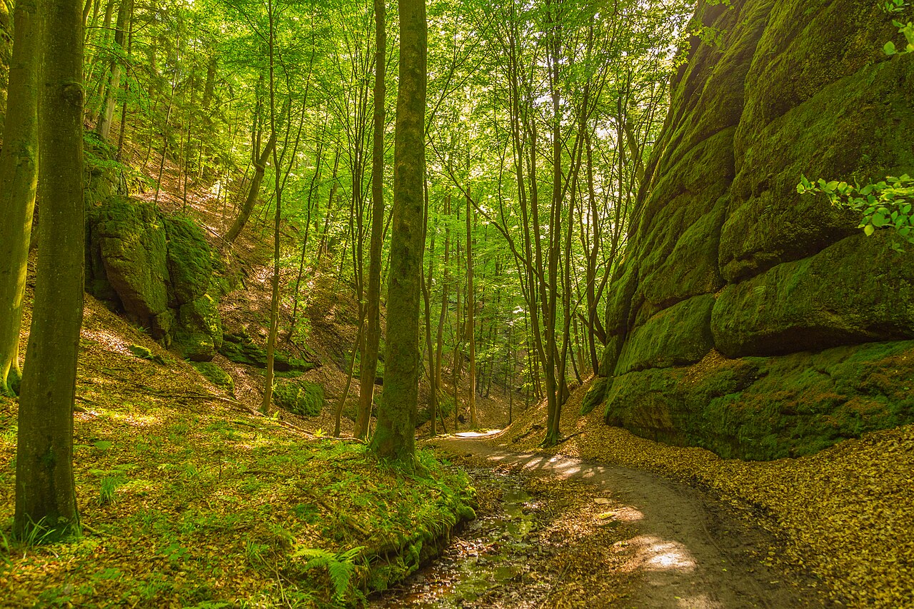At the Landgrave Gorge ( Landgrafenschlucht ) near Eisenach , Thuringia , Germany