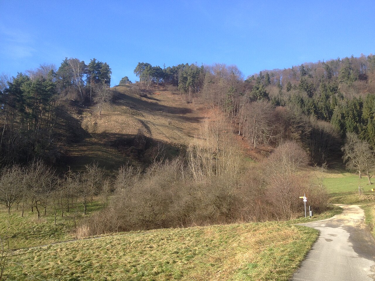 Germany - Baden-Württemberg - Bodenseekreis - Sipplingen: nature reserve "Köstenerberg"
