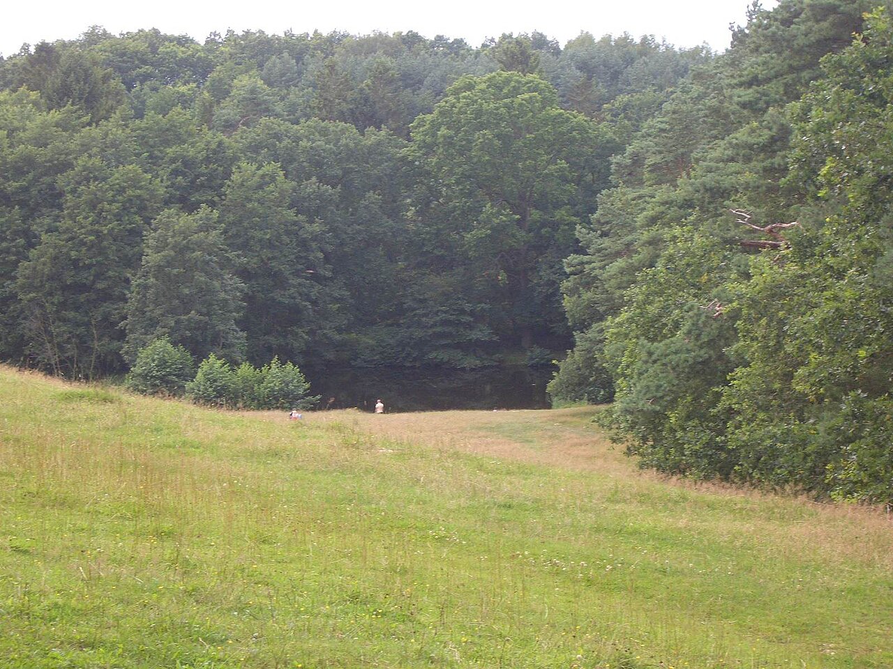 Rostocker Heide und Naturschutzgebiet Kösterbeck
