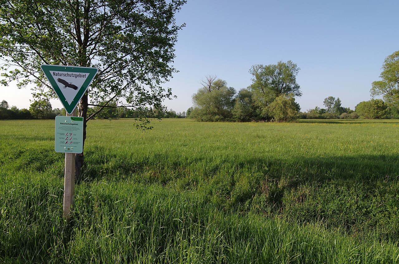 Naturschutzgebiet Korbmatten Baden-Baden