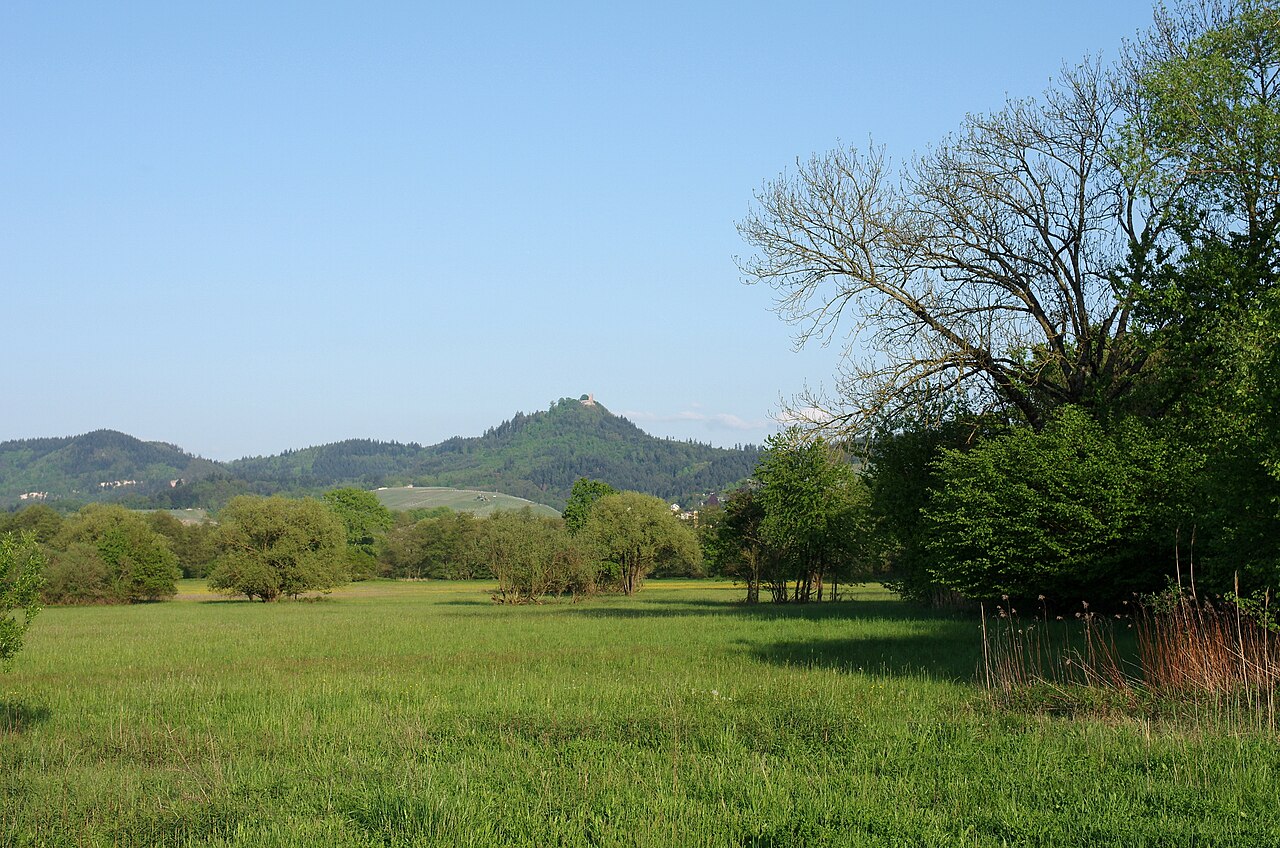 Naturschutzgebiet Korbmatten - Im Mäthi bei Sinzheim, im Hintergrund der Iberg mit der Yburg