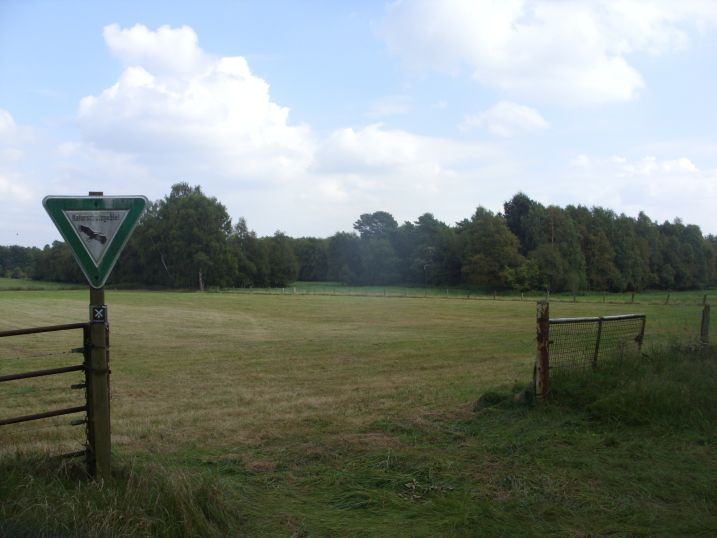 Naturschutzgebiet „Krähenmoor II“