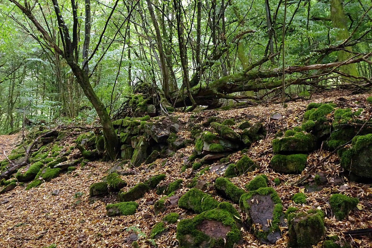 Nature reserve "Kranichsberg" (WDPA 164234) south of Eberbach (Rhein-Neckar-Kreis, Baden-Württemberg, Germany)