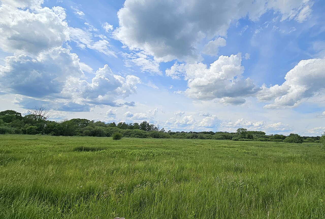Blick in das Naturschutzgebiet Kranzer