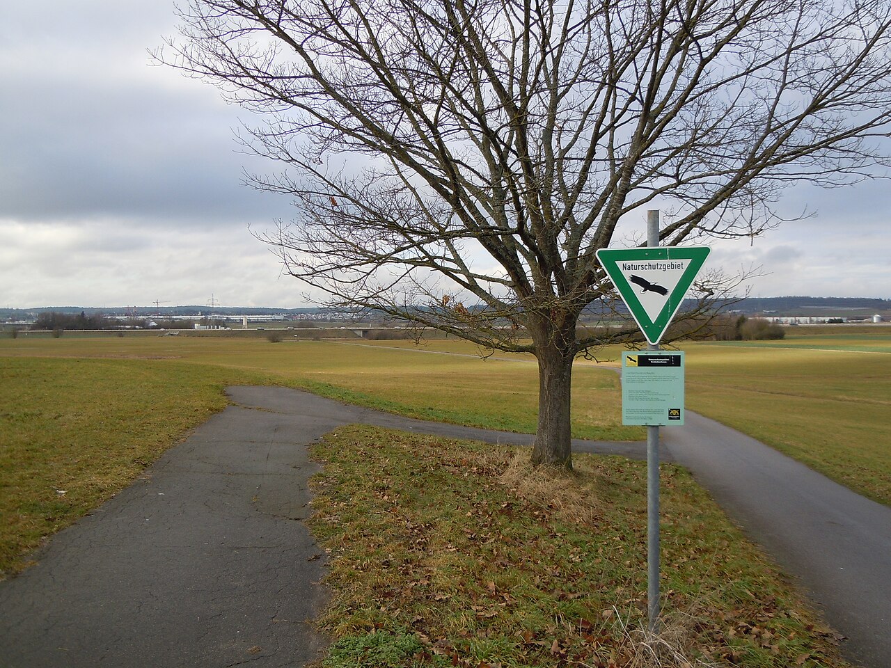 NSG Krebsbachaue (Blickrichtung Nordwest)