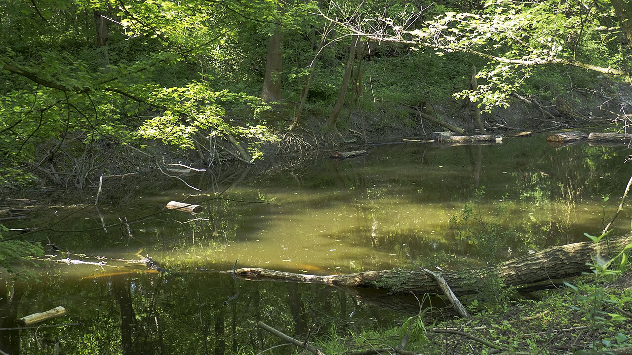Pond Krebsenwasser at de:Wiener Prater in Vienna 2