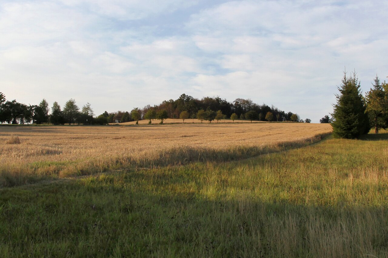 Der Krohnenberg in Bretnig-Hauswalde