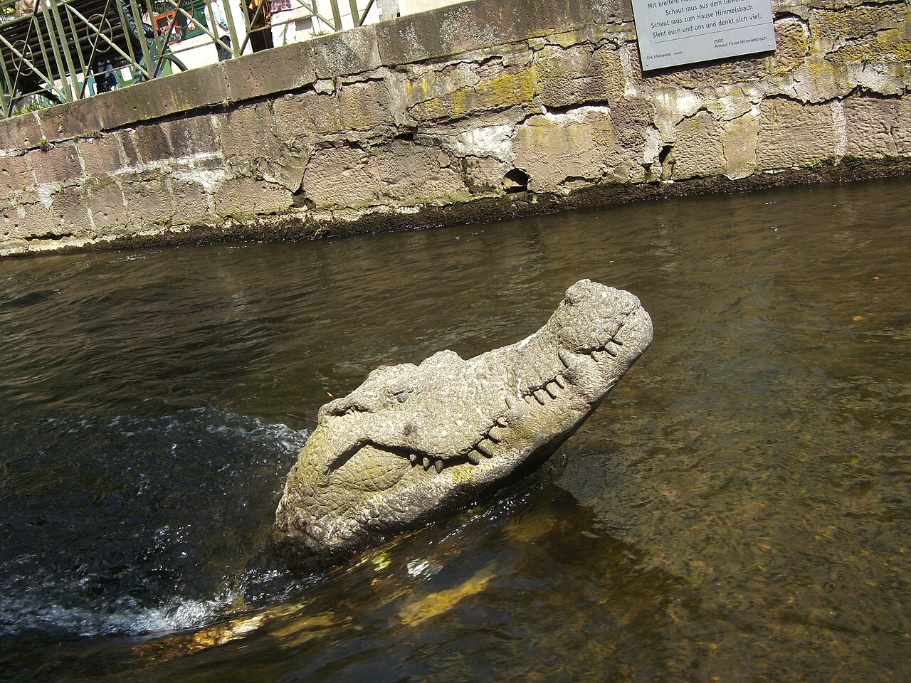 Krokodile
