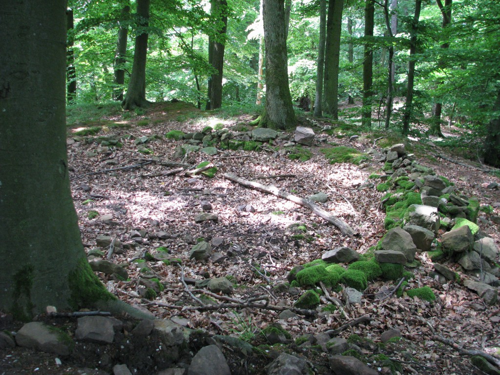 Kronenburg bei Dossenheim