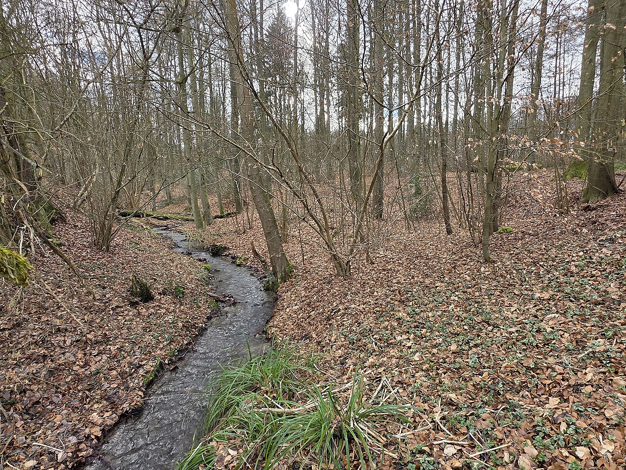 Naturschutzgebiet Kruckeler Wald, Kruckeler Bach