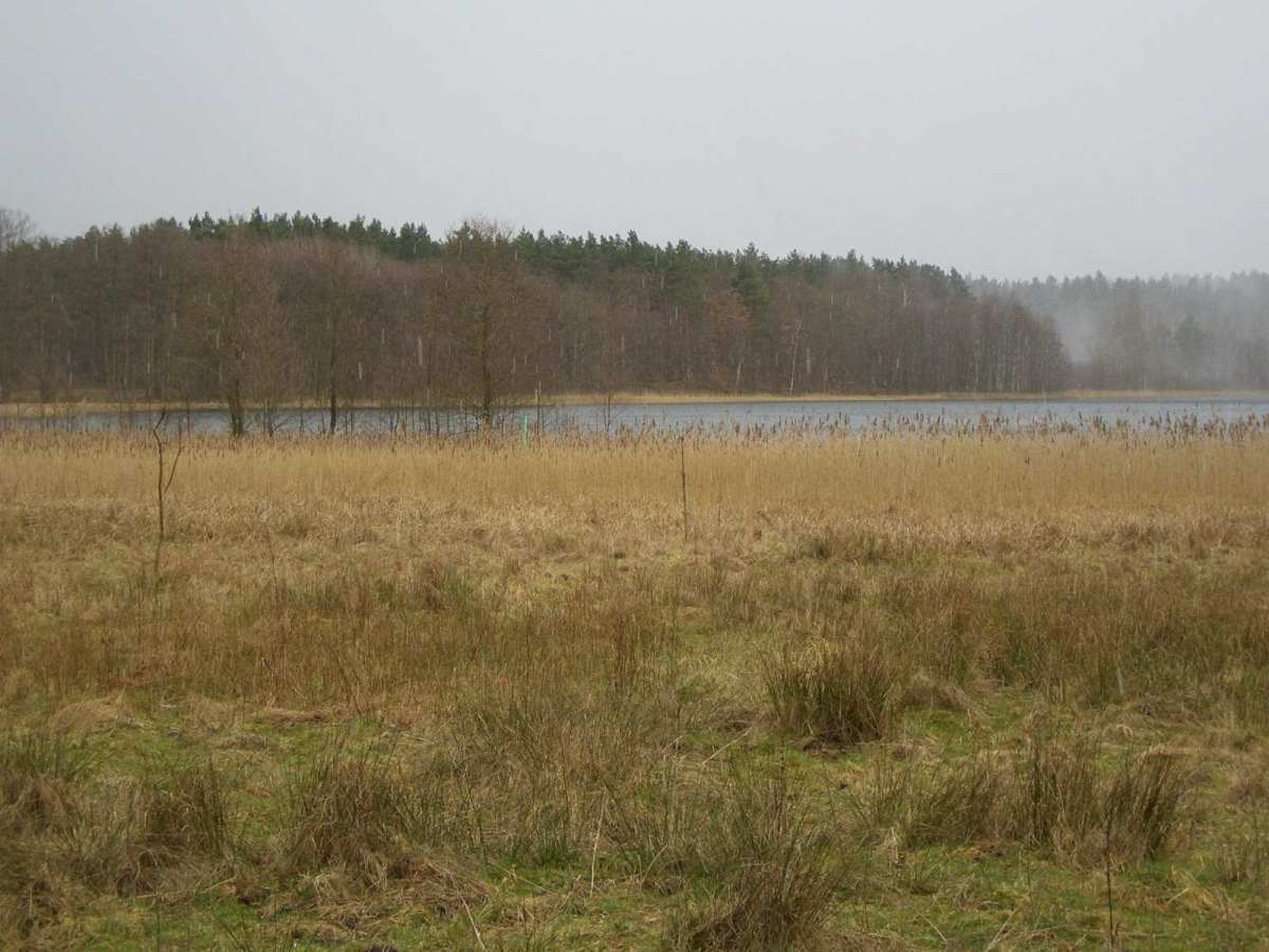 Blick auf den Weutschsee (bei Mechow), Mecklenburg-Vorpommern
