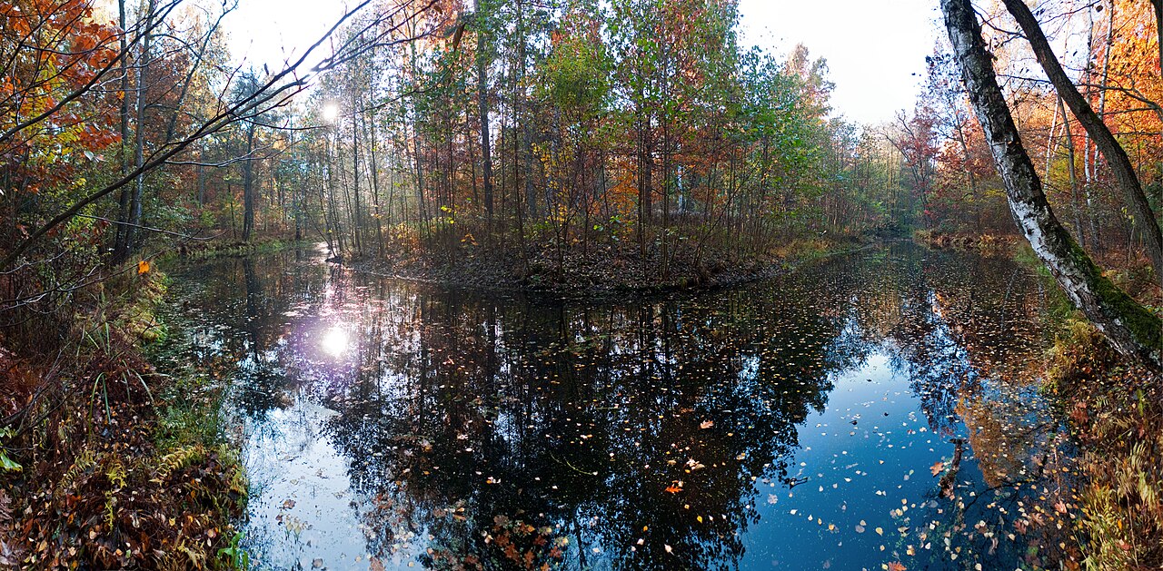 Naturschutzgebiet Krumme Lake , Berlin-Grünau, siehe [1]