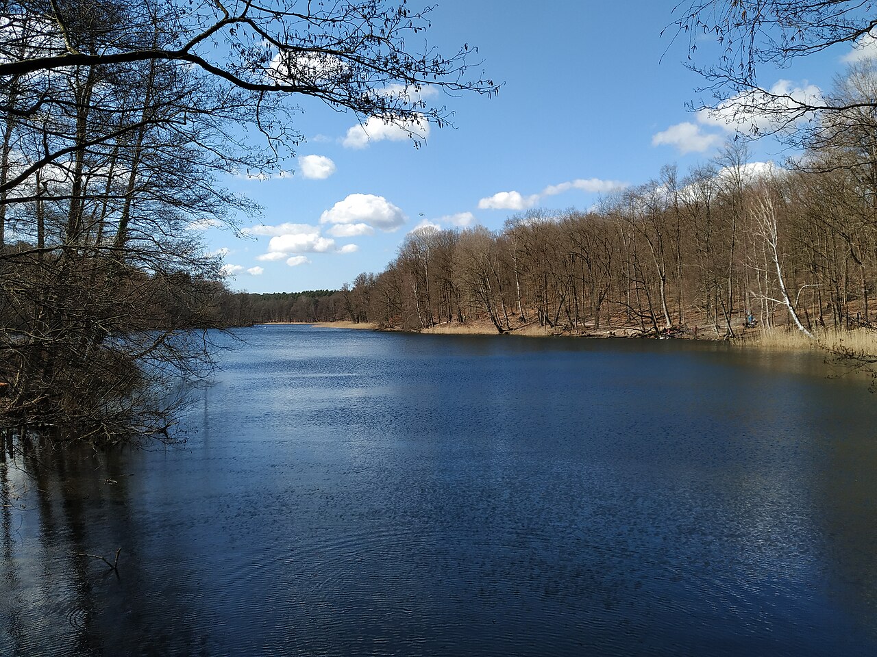 Krumme Lanke in Berlin-Zehlendorf