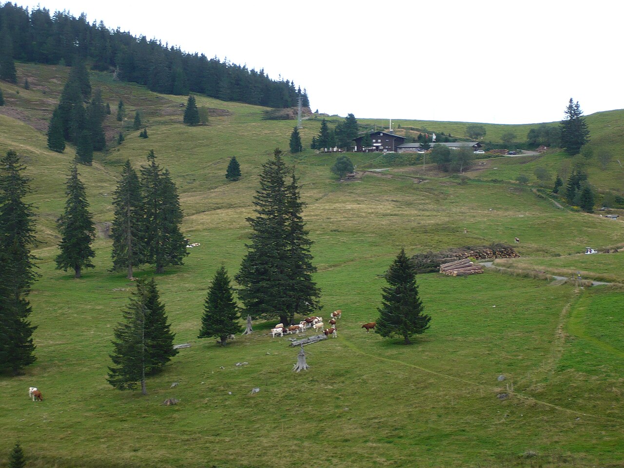 Krunkelbachhütte