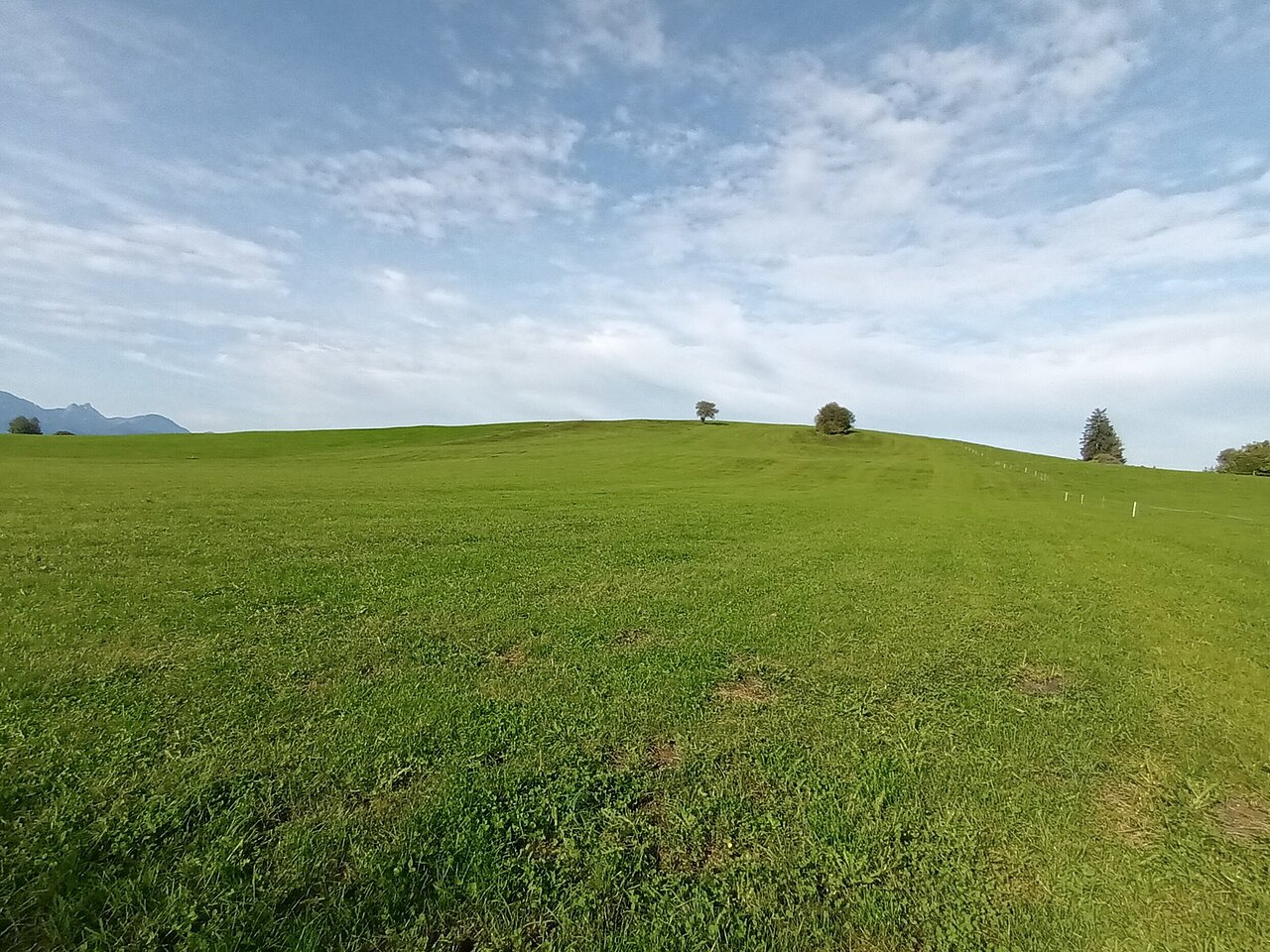 Der Kühberg (858 m) in der Gemeinde Halblech