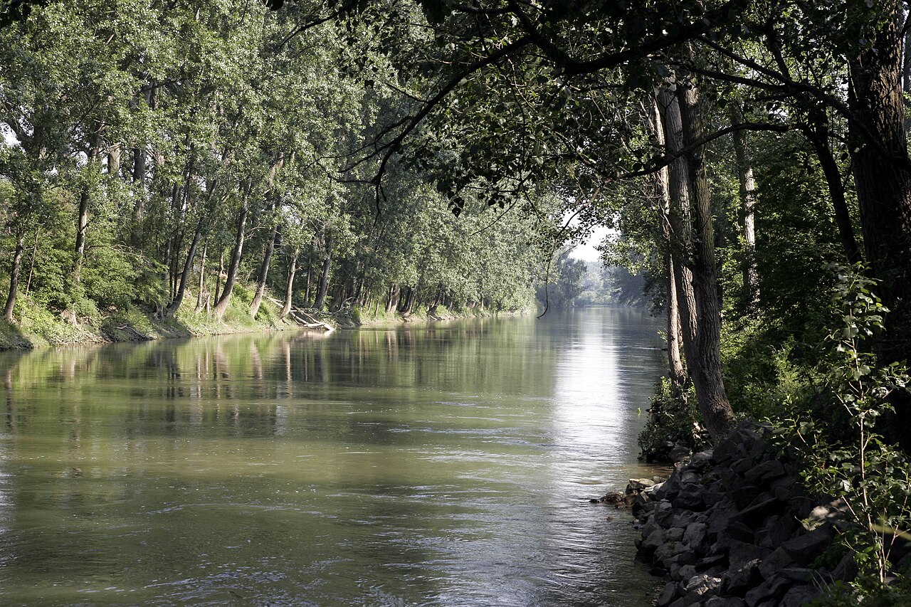 Der Altrhein bei Stockstadt, unmittelbar hinter dem Abfluss des Rheins (südliche Verbindung zum Rhein = Zufluss)