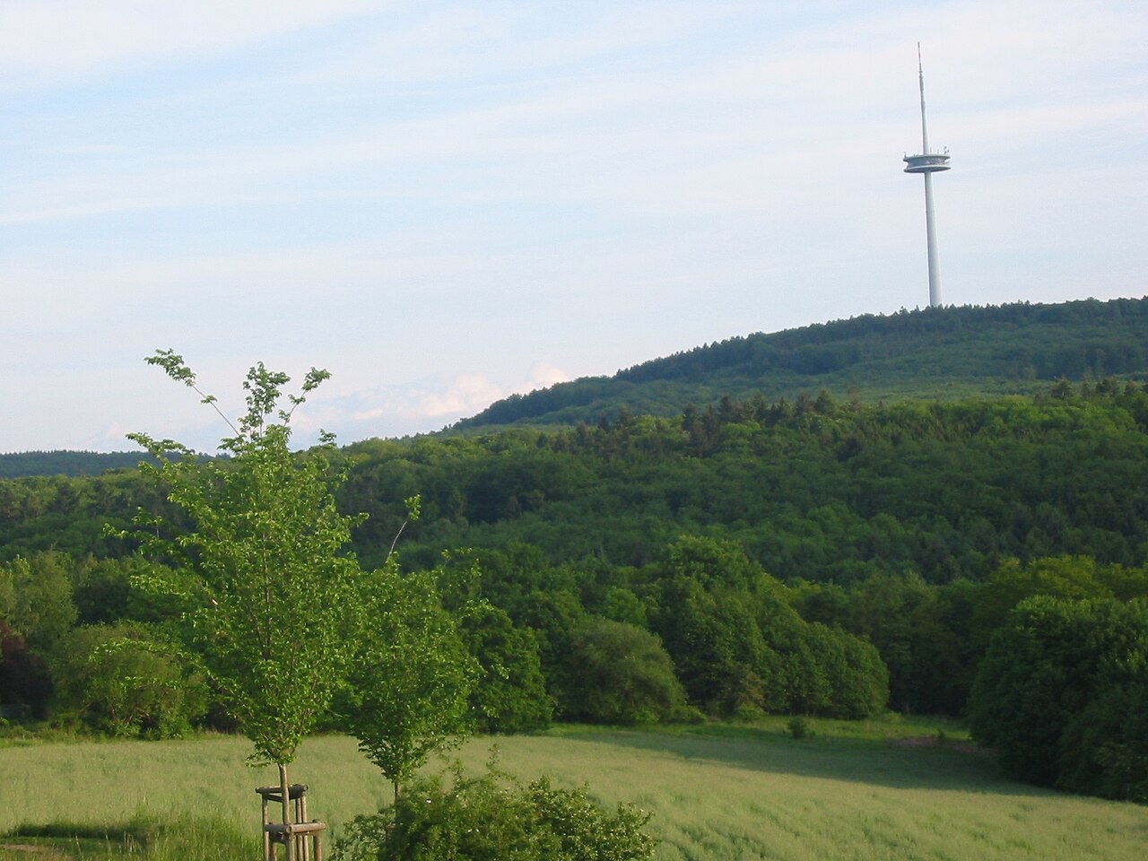 Kühkopf, mountain near Koblenz, Germany