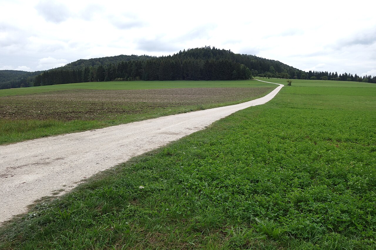 Blick auf das Naturschutzgebiet Kugelwäldle