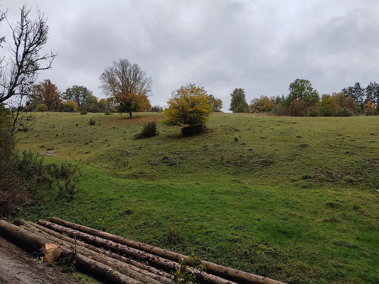Naturschutzgebiet Kuhberg