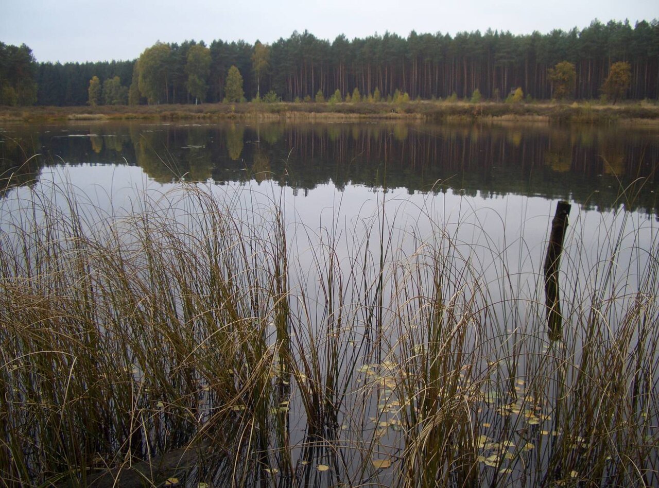 Naturschutzgebiet Kulowseen