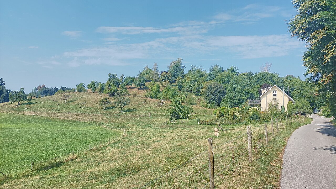 Längenberg in the municipality of Tettnang, view from east