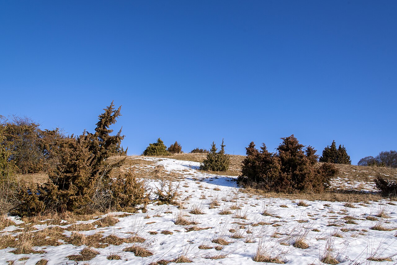 Naturschutzgebiet „Laichinger Eichberg“ (NSG 4