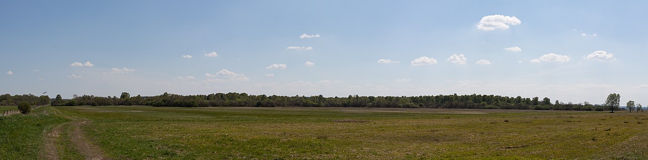 Naturschutzgebiet Nummer 93 im Kreis Mecklenburgische Seenplatte: Landgrabenwiesen bei Werder (nördlicher Teil)