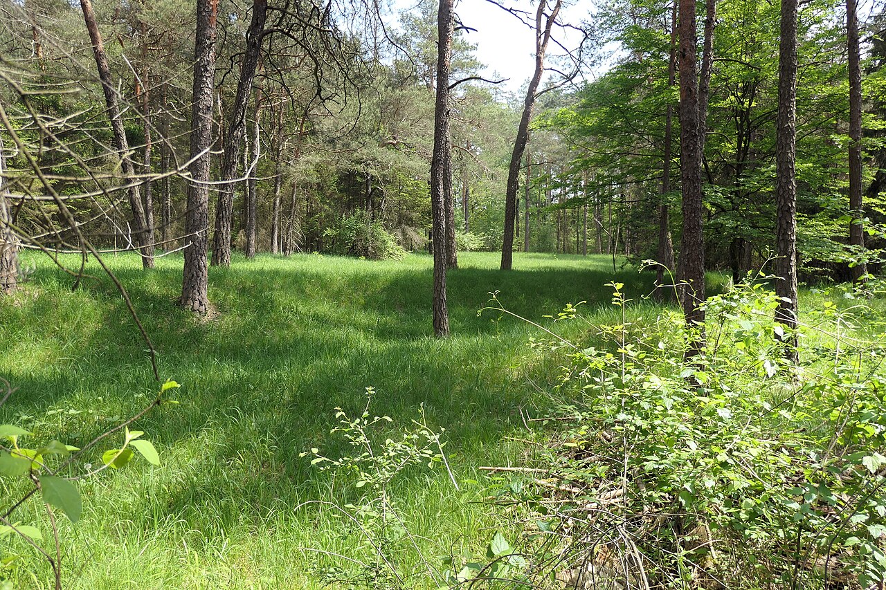 Naturschutzgebiet Landschaft um den Heppenstein (Mosbach - Elztal, Neckar-Odenwald-Kreis, Baden-Württemberg)