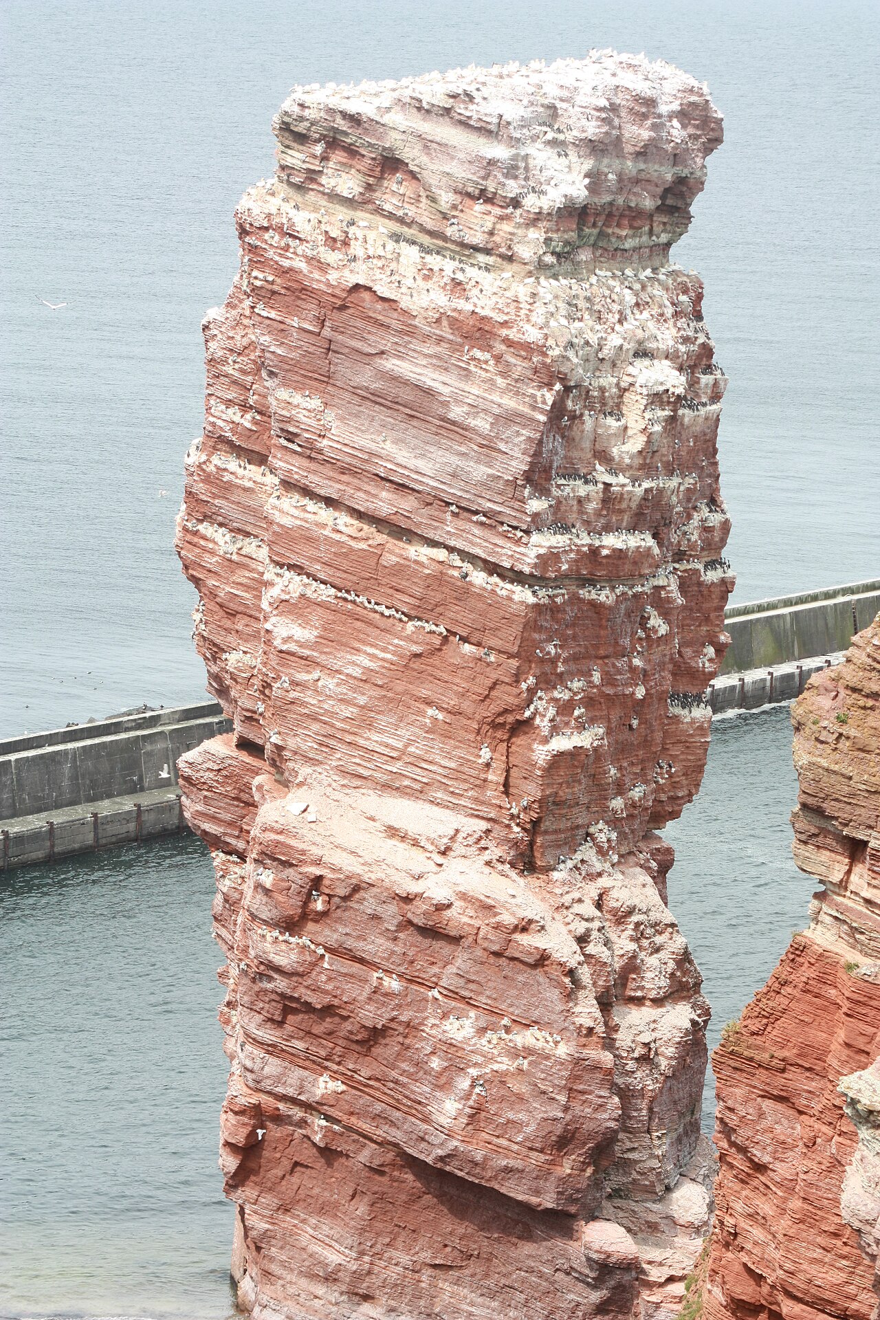 Heligoland, Helgoland,