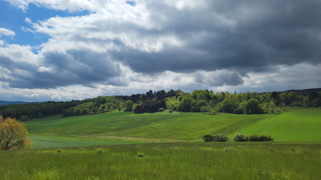 Blick auf den Franzosenkopf (westliche Kuppe) mit Ellernwiese vom Finkenbrink aus