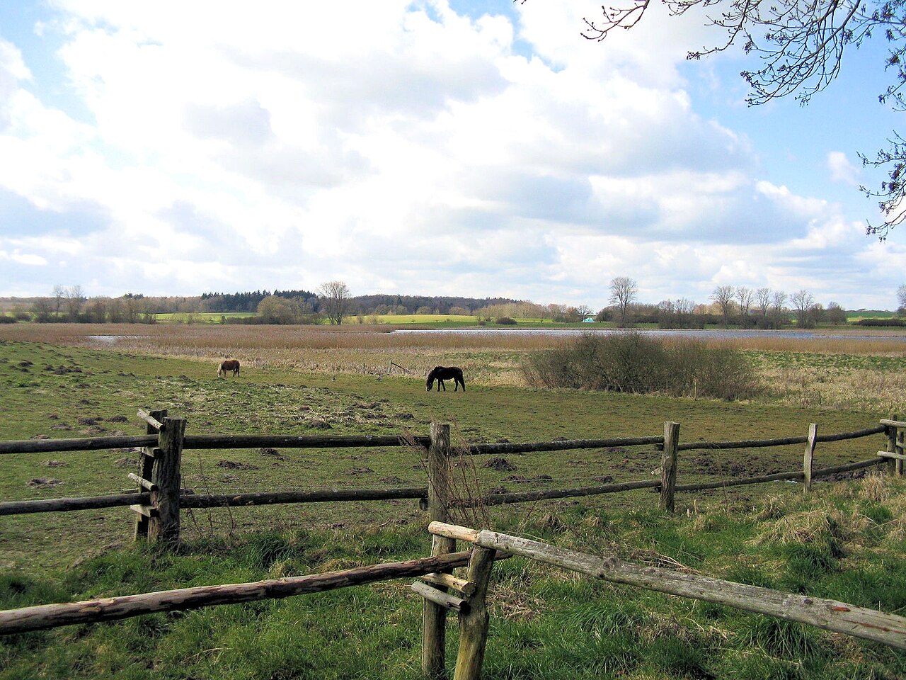 Foto von Langenhägener Seewiesen