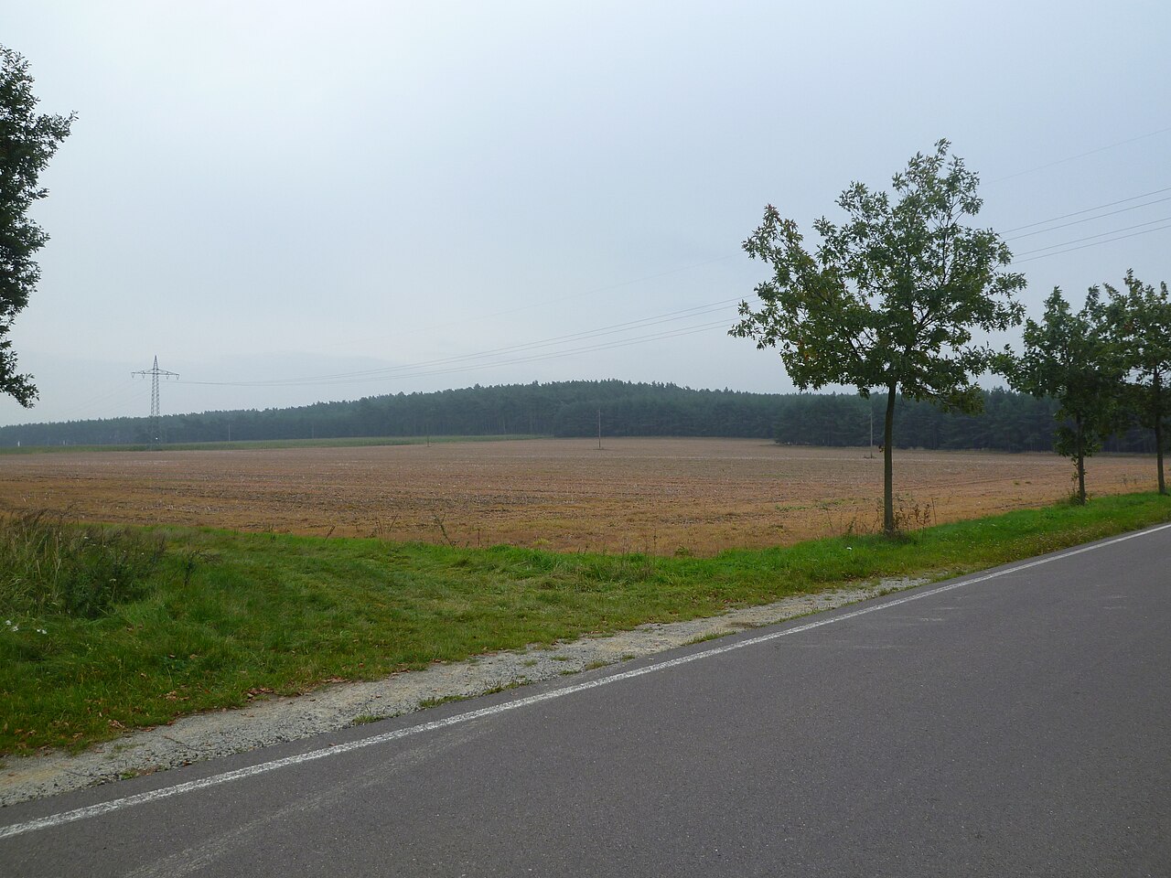 Bild zeigt Langen Berg an der Straße zwischen Velsdorf und Calvörde-Wegenstedt