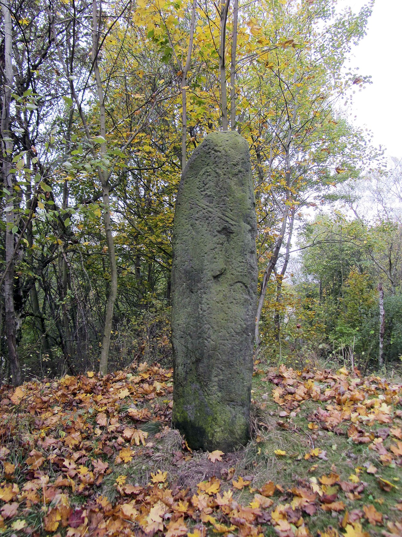 Menhir (auch "Götterstein" oder "Langer Stein" genannt) bei Wanzleben-Börde OT Seehausen