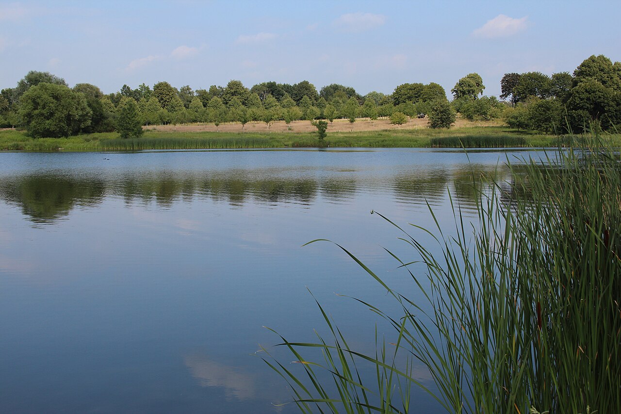 Wald- und Wiesenlandschaft am Lanstroper See