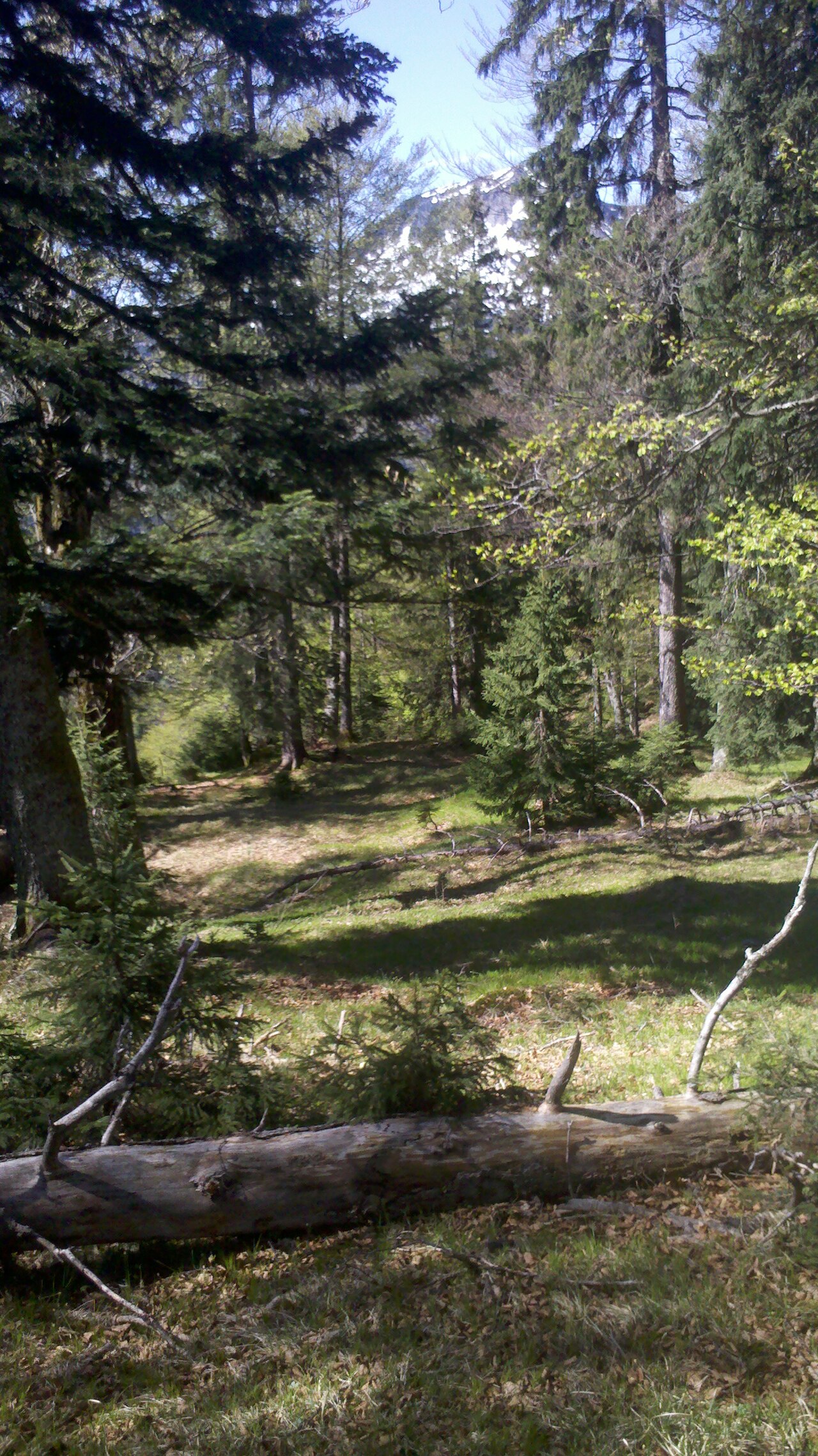 Lapberg, Mangfall Mountains, Bavaria, Top