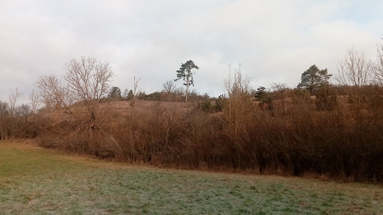 Naturschutzgebiet bei Schweinberg (Gde