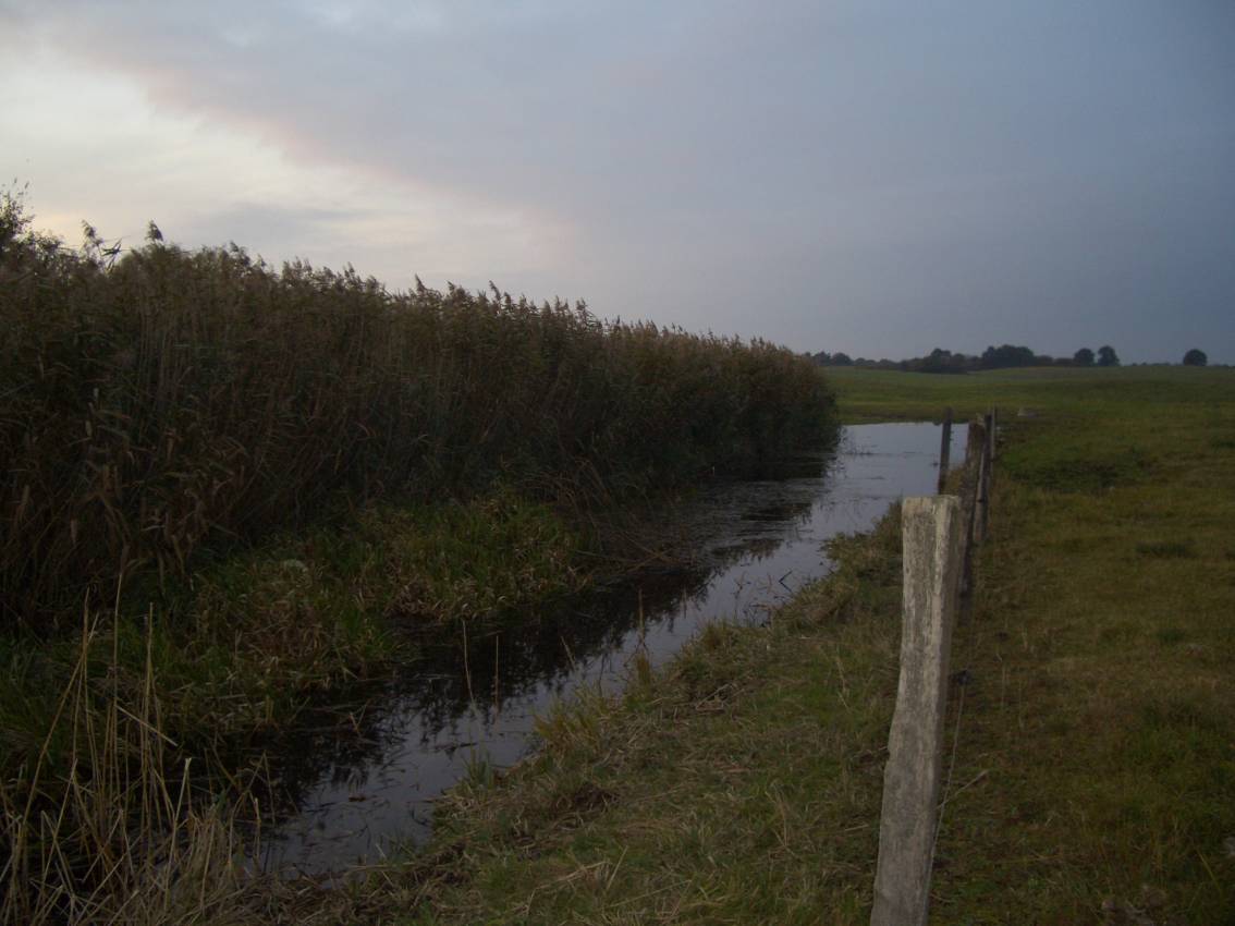 Naturschutzgebiet Lauenhagener See, NW-lich von Strasburg (MV)