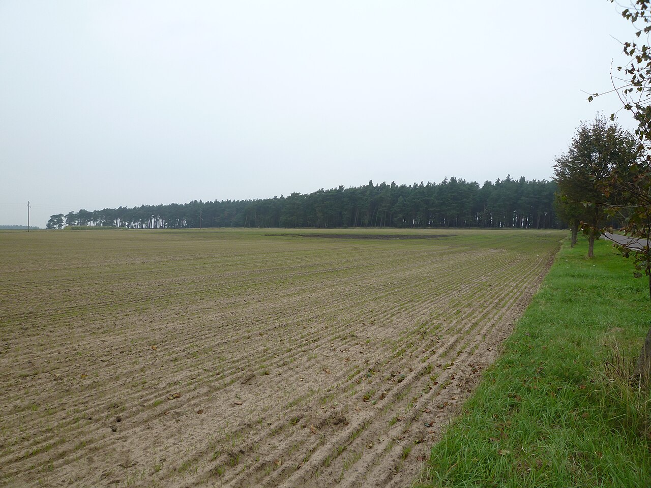 Foto von Lauseberg
